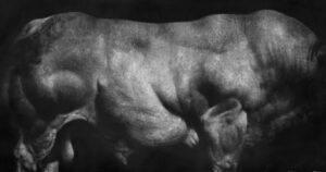 Read more about the article Destructive Impulses vs Creative Impulses: a beautiful example