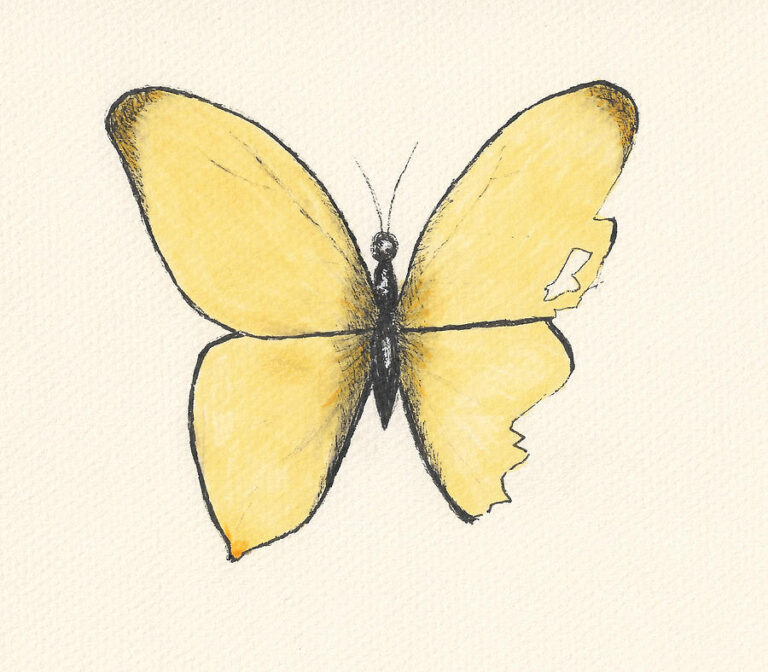 Read more about the article Protected: Ego: understanding how it affects our behavior